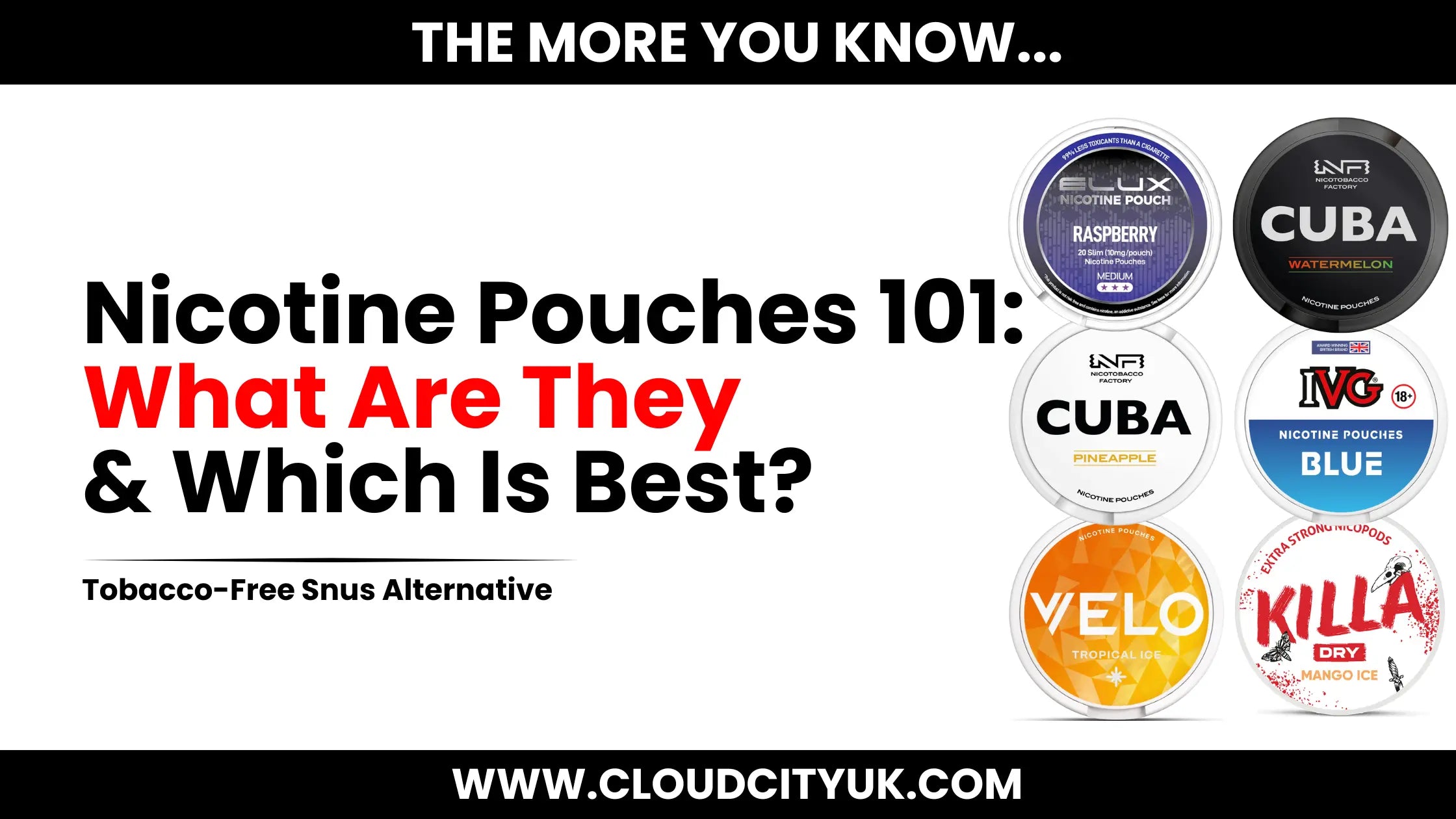 Nicotine Pouches 101: What Are They & How Do They Work?