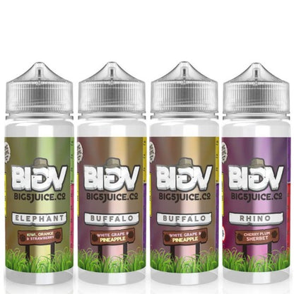 Big 5 Short Fill E-Liquid 100ML - Cloud Vapez UK